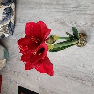 Faux amaryllis